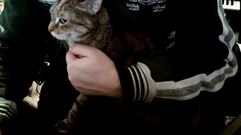 Snapshot of fabius2673 chatting on January 8, 9:10 am Fabius online show from January 8, 9:10 am