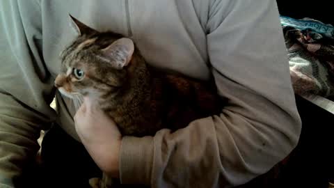 Snapshot of fabius2673 chatting on February 5, 8:54 am Fabius online show from February 5, 8:54 am