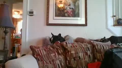 Snapshot of fairmount31 chatting on February 19, 7:16 pm fairmount31 online show from February 19, 7:16 pm