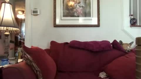 Snapshot of fairmount31 chatting on October 21, 1:56 pm fairmount31 online show from October 21, 1:56 pm