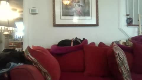 Snapshot of fairmount31 chatting on November 7, 7:25 pm fairmount31 online show from November 7, 7:25 pm