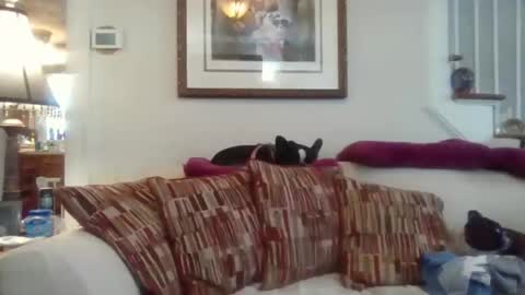 Snapshot of fairmount31 chatting on November 12, 4:51 pm fairmount31 online show from November 12, 4:51 pm