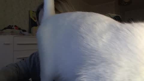 Snapshot of fairydreams_ chatting on November 6, 1:01 pm Arisha online show from November 6, 1:01 pm