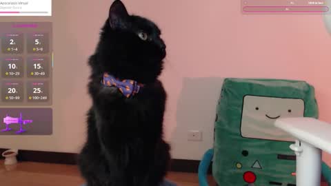 Snapshot of fantasma_gei chatting on October 25, 1:13 am Fantasma. online show from October 25, 1:13 am