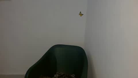 Snapshot of fariha_babyy chatting on May 1, 9:25 am Fariha online show from May 1, 9:25 am