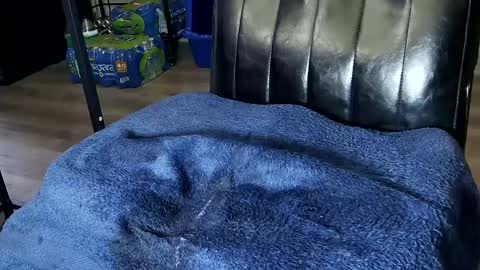 Snapshot of fat_fabulous1981 chatting on February 1, 12:51 am Sarah online show from February 1, 12:51 am