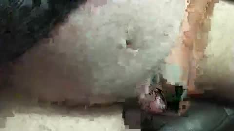 fatdaddy4you online show from September 20, 3:35 pm