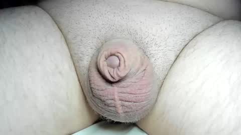 Fatmanscock online show from December 8, 4:04 am