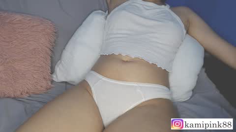 Snapshot of favicam chatting on December 13, 12:42 am kamipink88 online show from December 13, 12:42 am