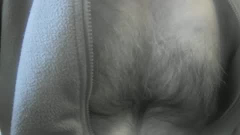 Snapshot of feardubh chatting on January 19, 3:53 pm feardubh online show from January 19, 3:53 pm