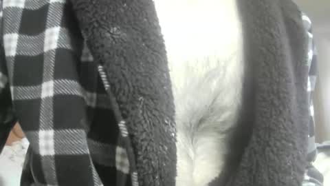 Snapshot of feardubh chatting on February 16, 10:44 am feardubh online show from February 16, 10:44 am