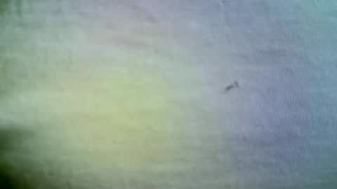 felicaste online show from April 21, 11:38 am