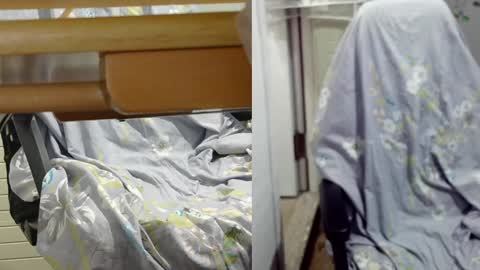 felixlau online show from December 12, 11:50 am