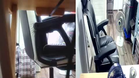 felixlau online show from June 9, 11:55 am