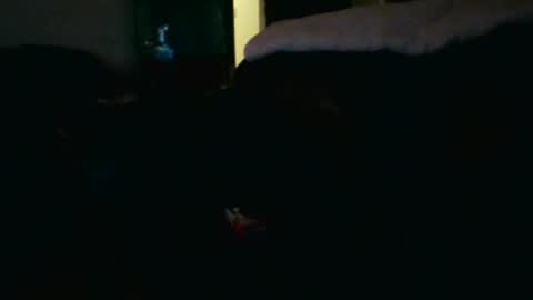 Snapshot of fellatio13 chatting on March 21, 9:25 am fellatio13 online show from March 21, 9:25 am