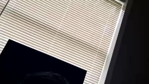 fer28639 online show from September 24, 6:00 pm