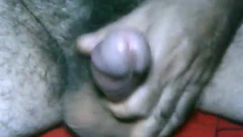 fer_2197 online show from January 2, 12:46 pm