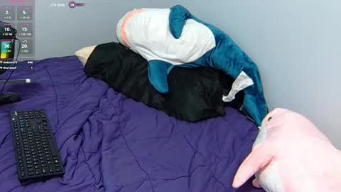 FE fee online show from January 31, 10:21 pm