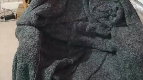 Snapshot of ffys2025 chatting on February 13, 9:22 pm ffys2025 online show from February 13, 9:22 pm