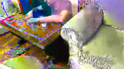 Fid online show from September 17, 9:05 pm