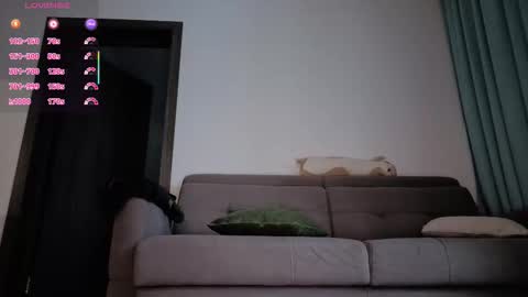 Filla online show from February 6, 4:17 am