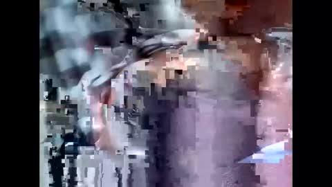 fifipan online show from May 9, 3:56 am