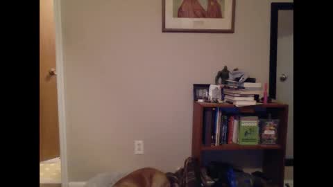 Snapshot of fitbit90 chatting on March 9, 9:46 am FitBit online show from March 9, 9:46 am