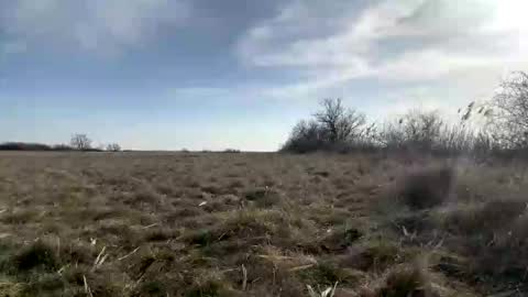 fitgentleman999 online show from March 8, 2:21 pm