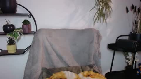 fitness1989 online show from July 20, 8:55 pm