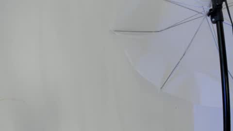 Flavia online show from January 11, 6:46 pm