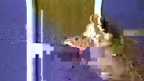 Snapshot of flex480 chatting on February 17, 1:24 am flex480 online show from February 17, 1:24 am