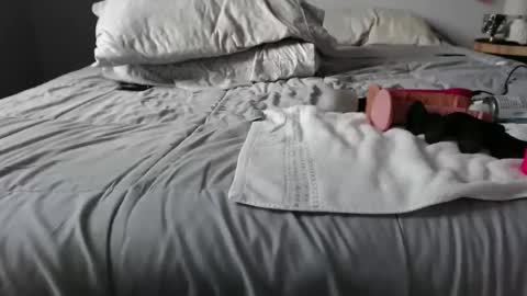 FloridaMan1993 online show from September 27, 6:24 pm