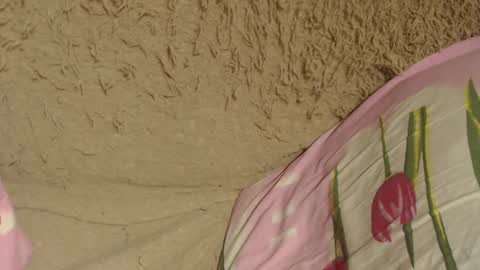 Snapshot of flowercandydoll chatting on December 9, 7:07 pm say meow and send tip online show from December 9, 7:07 pm