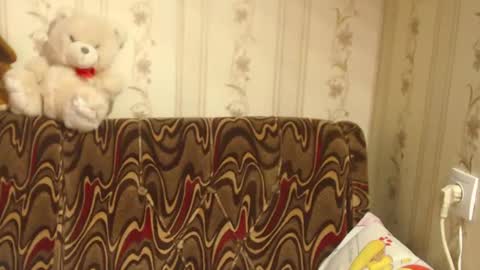 Snapshot of flowercandydoll chatting on February 27, 8:50 am say meow and send tip online show from February 27, 8:50 am