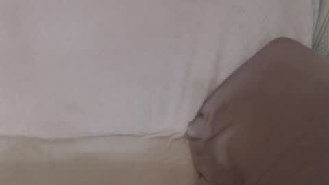 say meow and send tip  online show from July 12, 12:18 pm