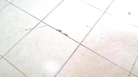 Snapshot of flyckers chatting on October 6, 8:06 pm flyckers online show from October 6, 8:06 pm