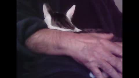 Hooz2no online show from October 12, 12:53 am