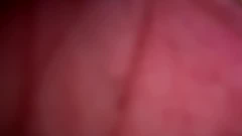 ForbiddenAlpha online show from May 13, 11:44 pm