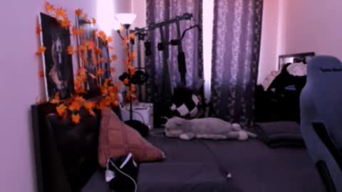 Foxicfu online show from November 28, 8:17 am