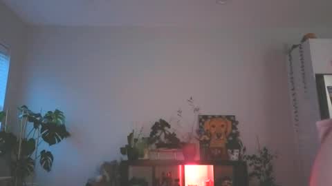 Snapshot of foxyredddd chatting on December 16, 11:21 pm beautiful blair online show from December 16, 11:21 pm