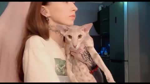 Snapshot of fran_bow chatting on October 2, 12:17 am fran_bow online show from October 2, 12:17 am