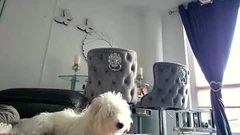 franciscomalin online show from July 29, 6:55 am