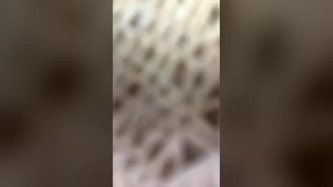 fransicus1988 online show from March 19, 9:46 am