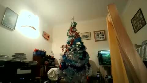 Snapshot of fredlittledick4 chatting on December 5, 7:49 pm Keith online show from December 5, 7:49 pm