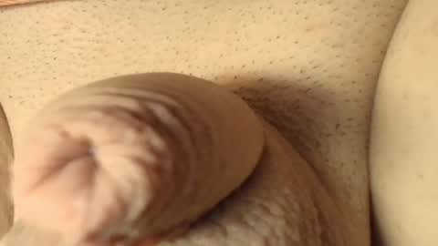 Meadow online show from March 7, 10:56 am