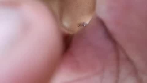 Snapshot of frey212121 chatting on February 17, 8:47 pm Phantom online show from February 17, 8:47 pm