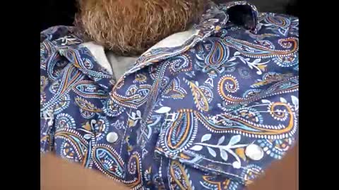 Frickish online show from January 9, 2:20 pm