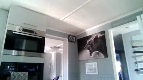 bob online show from December 2, 10:53 am