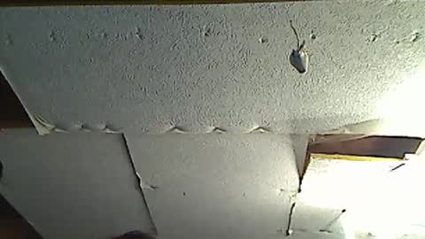 fromanotherplanet24 online show from March 17, 11:41 pm