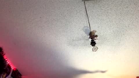 Fabian online show from April 1, 7:53 am